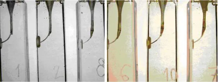 Figure 5. The largest diameter of the canals at the zone of the fragment was measured