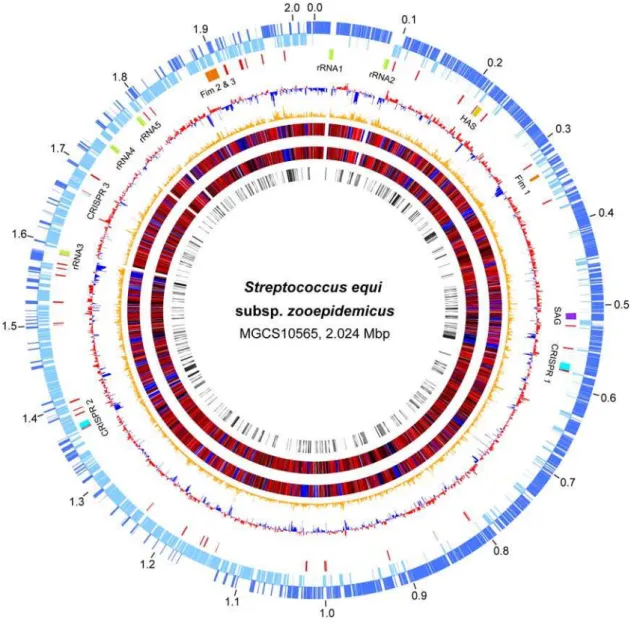 Figure 1. Genome atlas. Data from outermost-to-innermost circles are in the following order