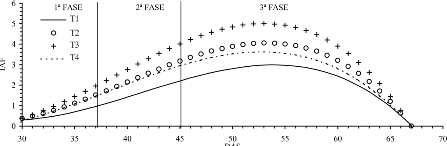 Figura 3. Índice de área foliar (IAF) em relação aos dias após a semeadura (DAS), nas fases do feijoeiro, submetido aos diferentes tratamentos