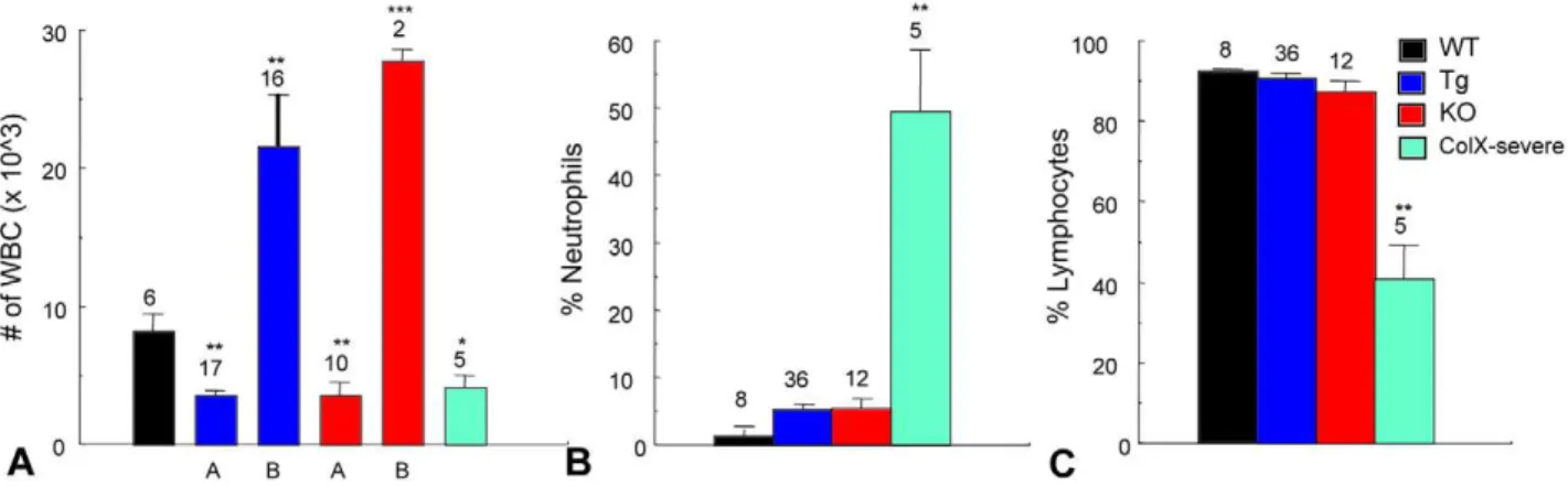 Figure 8. Peripheral blood complete blood count (CBC) analysis implicates infections in collagen X perinatal lethal mice