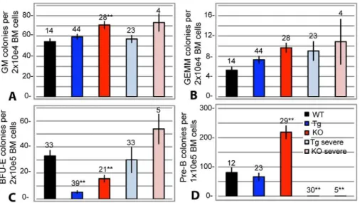 Figure 6. Number of LSK cells in collagen X moue bone marrow. Quantification of lineage - , Sca-1 + , cKit + (LSK) cells in the bone marrow of week-3 wild type (WT), collagen X transgenic (Tg), collagen X null (KO) and the perinatal lethal collagen X Tg su