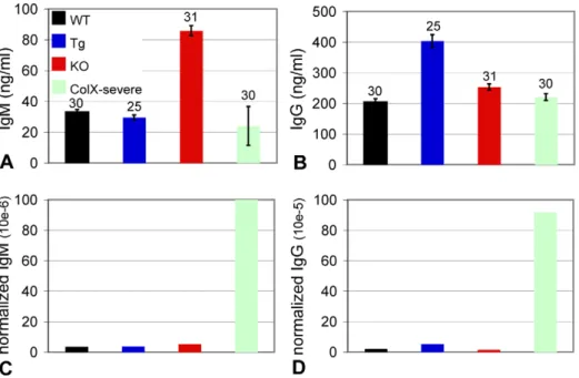 Table 3. Increased microbial contamination during In vitro organ cultures from collagen X perinatal lethal mice.