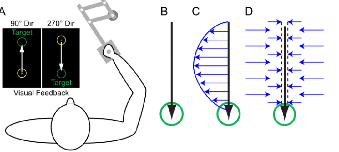 Figure 2. Force patterns at various points in training for the 369-trial group. The traces displayed here are the subject-averaged (n = 9 subjects) lateral force patterns produced during error-clamp trials at various points in training