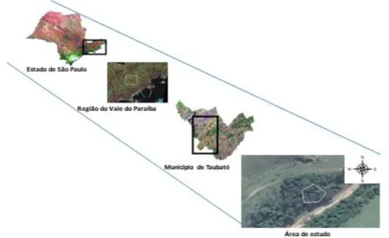 Figura 1. Localização Geográfica da área de estudo, Imagem TM/LANDSAT   Fonte: Adaptado de Aguiar et al., 2003