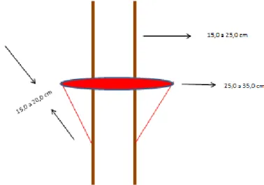 Figura 3: Dimensões do coletor captador de escoamento pelo tronco  