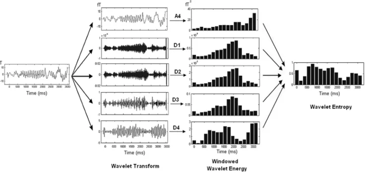 Figure 2. Systematic illustration of wavelet entropy method. MEG signal was first transformed to mutiresolution time-frequency domain by wavelet transformation