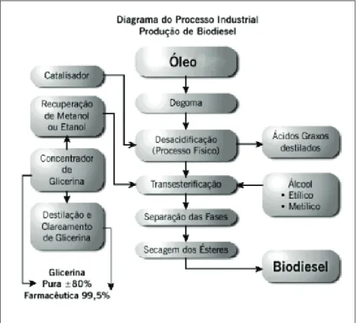 Figura 4 – Processo de obtenção de biodiesel
