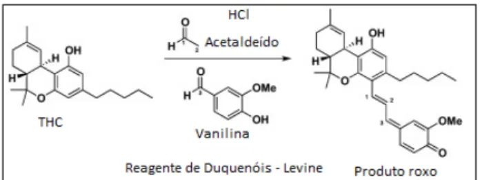 Figura 1. Reação que se processa durante o teste de Duquenóis-Levine,  com resultado positivo para maconha [9]