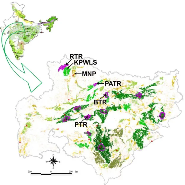 Figure 1. Map showing locations of the forests in Central Indian Landscape discussed in this study (modified from Jhala et al