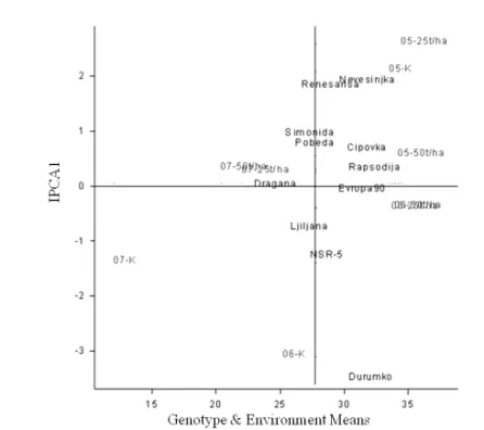 Figure 1. Biplot of the grain number per spike for 11 varieties of wheat in 9 environments  Grain weight per spike (GWS) is an important component of plant yield, as  well as the number of grains per spike, can be included in the indirect indicators of  gr