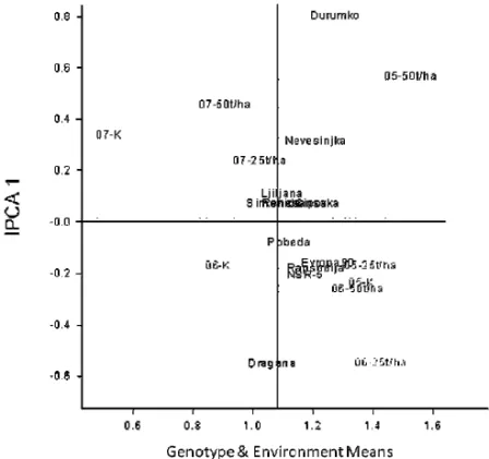 Figure 2. Biplot of grain weight / spike (g) 11 wheat varieties in 9 environments 