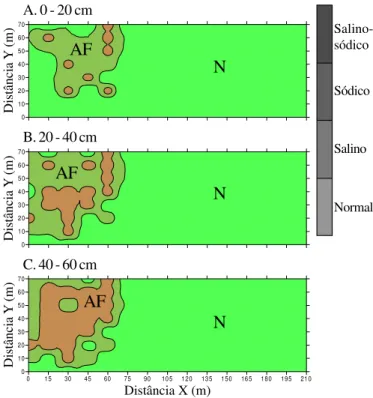 Figura 4. Mapas de classes de solo salinizado para as amostragens de 0 - 20 cm (A), 20 - 40 cm (B) e 40 - 60 cm (C) evidenciando as sub-áreas afetadas pela salinidade (AF) e normal (N) NNNAFAFAF