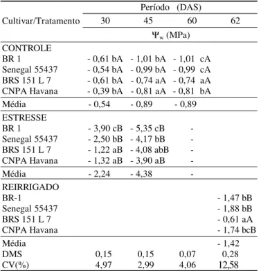 Tabela 3. Valores médios *  do potencial hídrico foliar (Ψ w ) em quatro  cultivares de amendoim  submetidas ao cultivo normal (controle) com suspensão das regas durante 15 dias e após a reirrigação