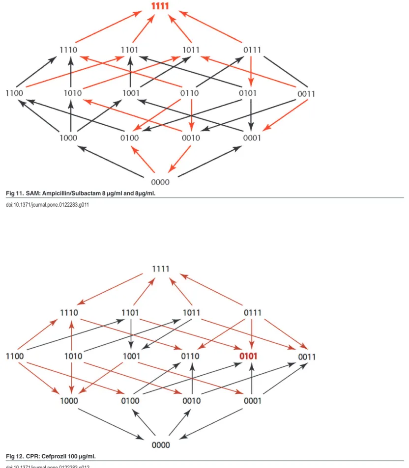 Fig 12. CPR: Cefprozil 100 μg/ml.