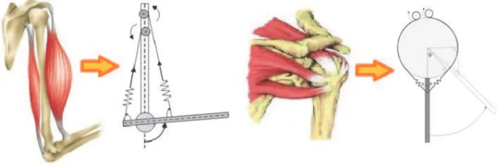 Fig. 2 – Left side of the figure shows triangular joint model,  while circular joint model is shown on the right side.