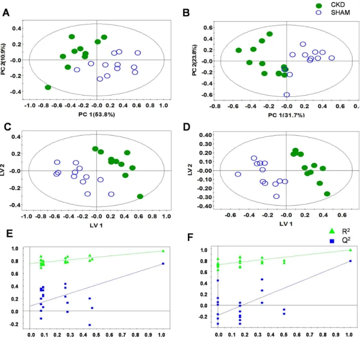 Figure 2. Principal component analysis (PCA), partial least squares-discriminant analysis (PLS-DA) score scatter plots and permutation tests of PLS-DA obtained from the 1 H NMR spectra of plasma at 4 weeks (A, C, E) or 8 weeks (B, D, F) after 5/6 nephrecto