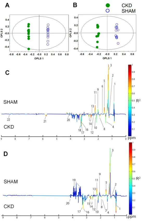 Figure 3. Orthogonal partial least-squares discriminant analysis (OPLS-DA) score and coefficient loading plots derived from the 1 H NMR spectra derived from plasma at 4 weeks (A, C) or 8 weeks (B, D) after 5/6 nephrectomy and sham operation