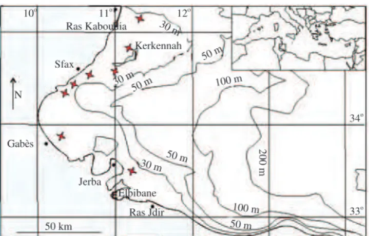 Figure  1. Sampling  localities  of  the  Mediterranean  needlefish  T.  a. 