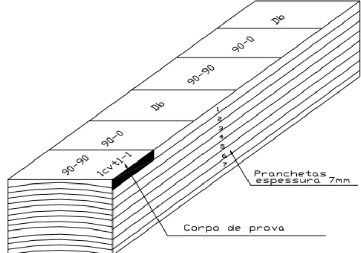 Figura 2. Exemplo de preparação de corpos de prova de orientação tangencial