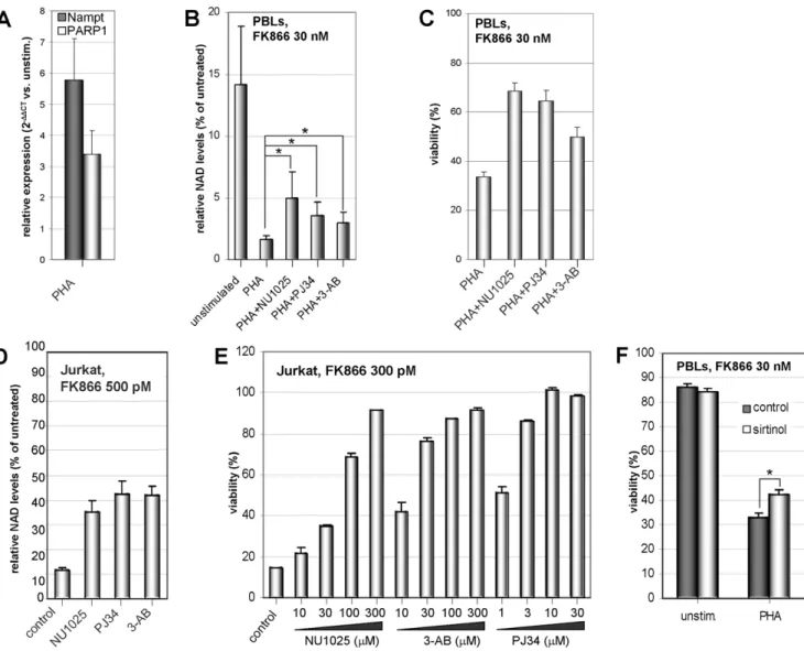 Figure 3. PARP inhibitors and sirtinol attenuate FK866-induced T cell demise. A, PBLs were cultured for 24 h with or without PHA.