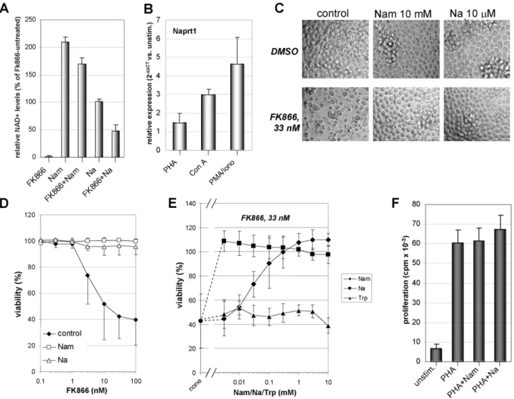 Figure 5. Nam and Na prevent NAD + shortage and cell death induced by FK866 in human T lymphocytes