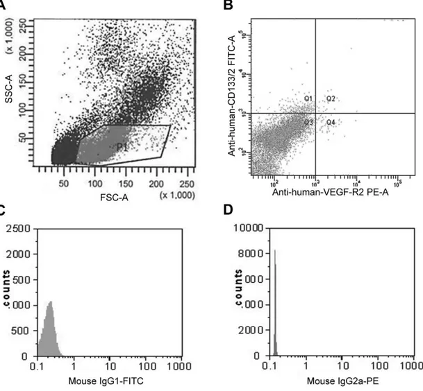Figure 1. Representative flow cytometry analysis of an EDTA-blood sample from a patient