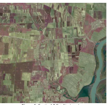 Figure 5. Santinel 2 Satelite imaginery 