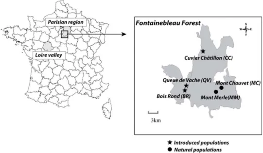 Figure 1. Location of Arenaria grandiflora L. in the Fontainebleau Forest (France).
