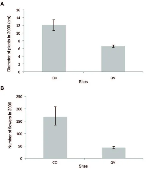 Figure 6. Barplots showing the effect of different restoration sites (CC: Cuvier Chatillon and QV: Queue de Vache) in 2009 on (A) plant diameter (cm);