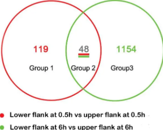 Table S2), and 1154 transcripts were changed at 6 h (Fig. S5, Table S3).