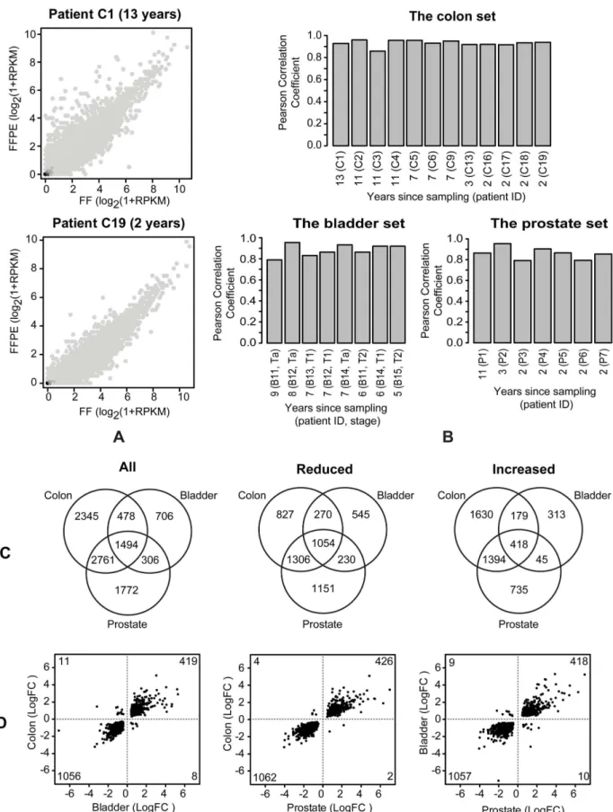 Figure 5. Effect of the FFPE process on the expression profiles. (A) Correlation plots of log 2 (1+RPKM) values for FF and FFPE colon samples stored for 13 years (top) and 2 years (bottom)
