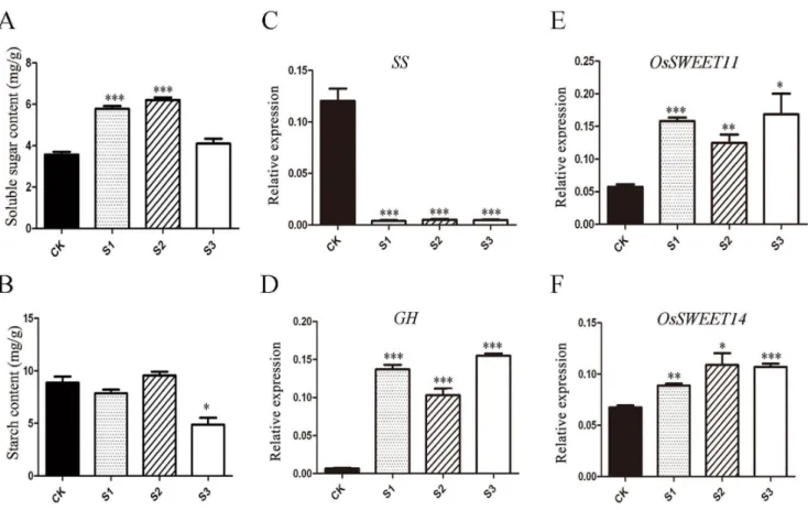 Figure 7. Diagrams of the rice pollen development and infection of U. virens . (A) Structural illustration of rice sheath at booting stage