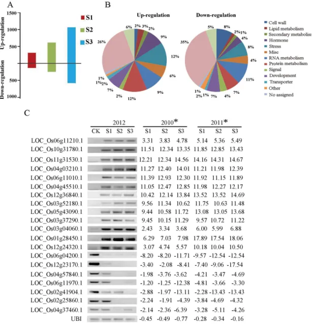 Figure 2. Integrative analysis of differentially expressed genes across both years. (A) Differentially expressed genes monitored across both years