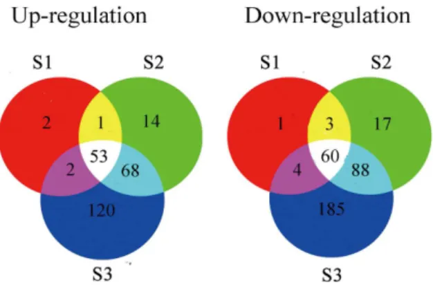 Figure 3. Comparison analysis of the special DE genes for rice among three stages.