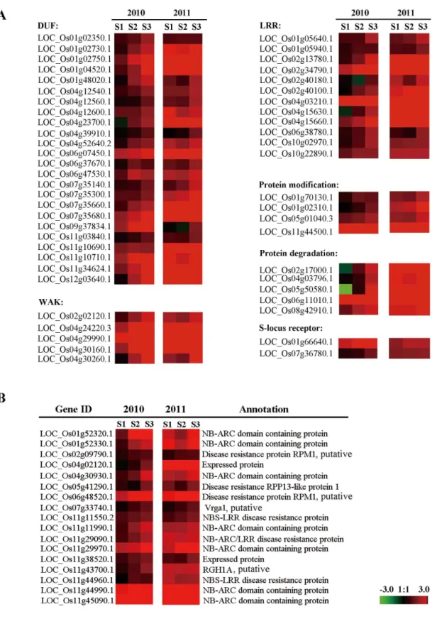 Figure 4. Heat map of the stage-specific genes involved in BP terms of ‘‘protein modification’’ and ‘‘cell death’’