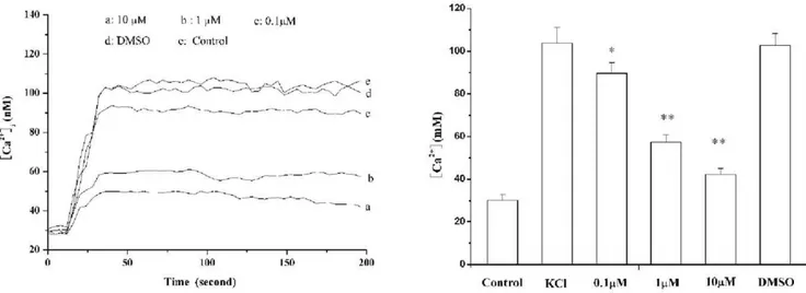 Figure 6. Effect of 16c on L-type Ca 2+ channel currents in vascular smooth muscle cells (A) and on I–V relation of Ba 2+ currents in vascular smooth muscle cells (B)