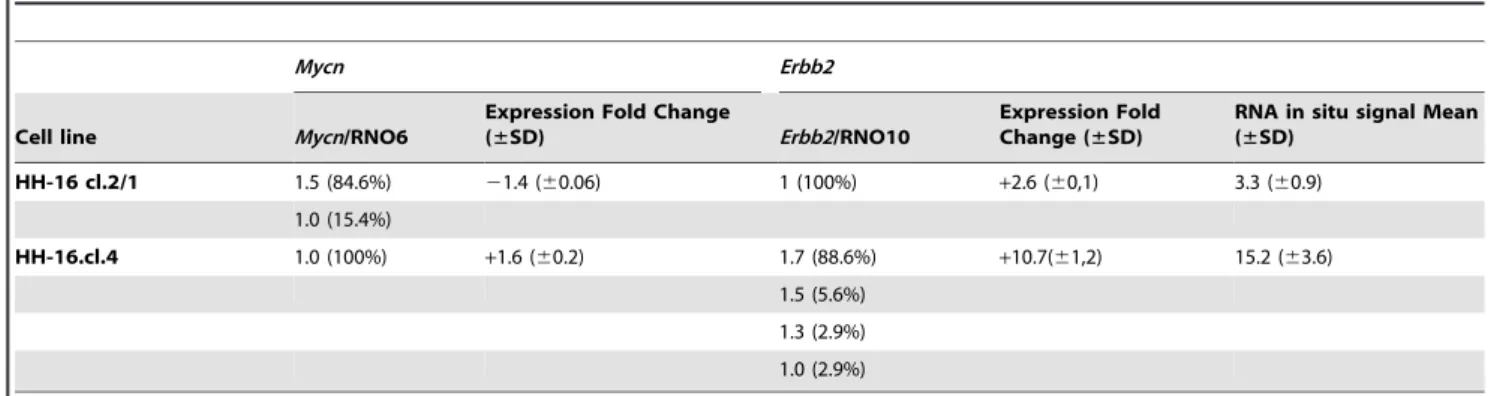 Figure 6. FISH results for Mycn and Erbb2 amplification analysis in HH-16 cl.2/1 and HH-16.cl.4cell lines