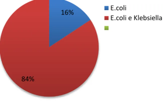 Fig. 5: Percentual de contaminação de enterobactérias encontradas nas hortaliças analisadas no  período de fevereiro a julho de 2015