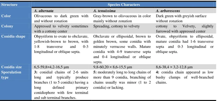 Table 2 Various morphological characteristics of small spore forming Alternaria species causing blight disease in Solanaceae