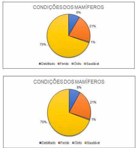 FIGURA  4 Condições  clínicas  dos  mamíferos  encaminhados  ao  CETAS  de Catalão, de 2016 a 2019.