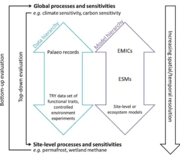 Fig. 1. Conceptual diagram of hierarchical approach to model eval- eval-uation on different spatial and temporal scales.
