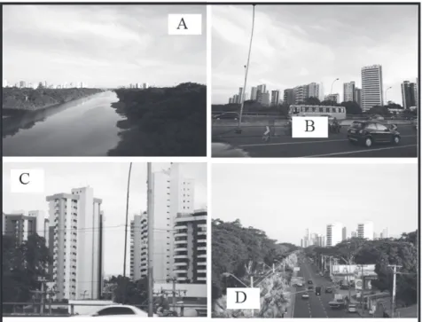 Figura 6. Mosaico de fotografias da verticalização às margens do  Rio Poti.
