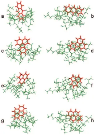 Figure 2. Structures of PAH-CDs complexes after their ener- ener-getic minimization. ANT-HP-b-CD (a), ANT- HP-c-CD (b), FLT- HP-b-CD (c), FLT-HP-c-CD (d), ACE-HP-b-CD (e), ACE-HP-c-CD (f), PYR- HP-b-CD (g), PYR-HP-c-CD (h).