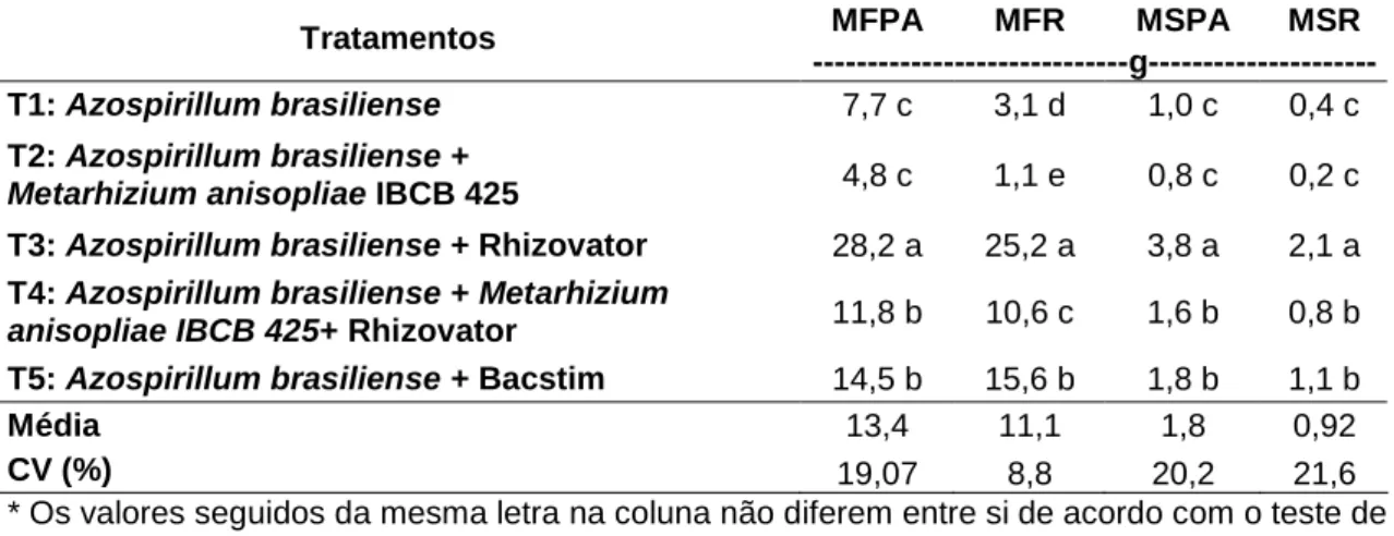 TABELA 2. Massa fresca da parte aérea (MFPA) e da raiz (MFR); massa seca da  parte  aérea  (MSPA)  e  da  raiz  (MSR)  de  milho  em  submetidos  à  diferentes, 2019