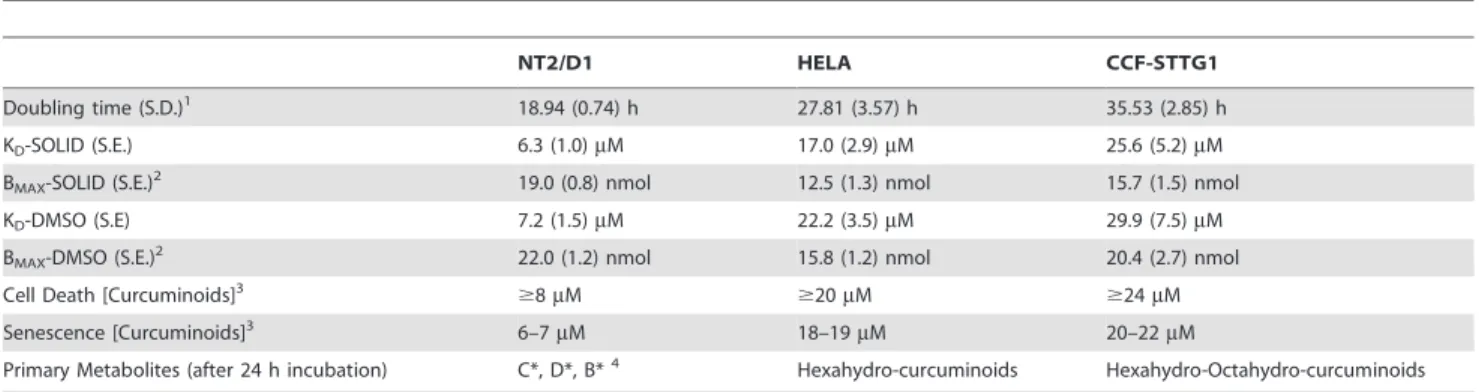 Figure 3. Cellular senescence in response to curcuminoids. Phase contrast micrographs of NT2/D1 cells incubated in media without curcuminoids (A and D) or with 6 mM SOLID-solubilized curcuminoids in FCS for 4 (B and E) and 12 (C and F) days