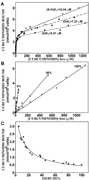 Figure 7. The dose-dependent binding of curcuminoids to NT2/