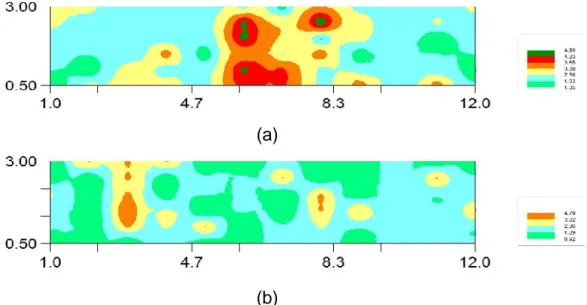 FIGURA  2 –  Mapas  de  variabilidade  espacial  de  incidência  de  plantas daninhas sob cultivo de repolho roxo na região de Sudeste, GO para (a) girassol (Helianthus annuus) e (b) milheto (Pennisetum americanum (L).