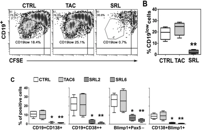 Fig 4. SRL, but not TAC effectively inhibited the differentiation of B cells into plasma cells