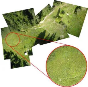 Figure 4. Seamless mosaic of the Heumoes landslide  International Archives of the Photogrammetry, Remote Sensing and Spatial Information Sciences, Volume XXXVIII-1/C22, 2011