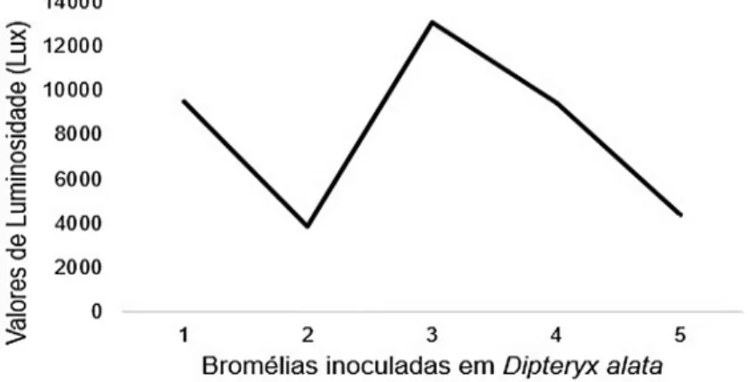 Figura   02.   Luminosidade   média   dos   indivíduos   de  Aechmea   bromeliifolia  em Dipteryx alata.